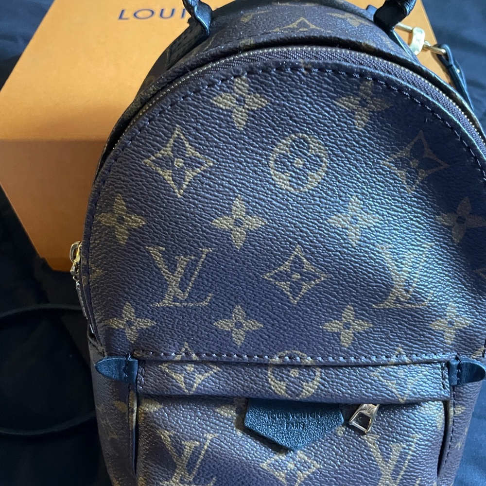 Louis Vuitton spring mini